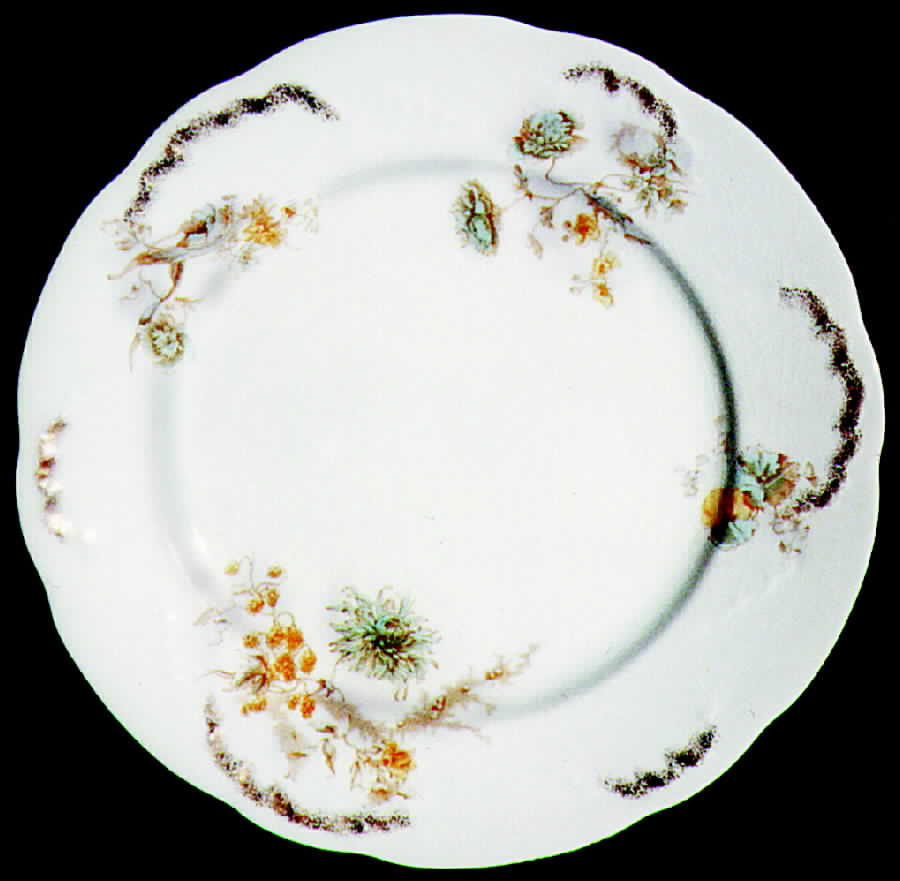 W165 Dinner Plate by Bishop & Stonier-1