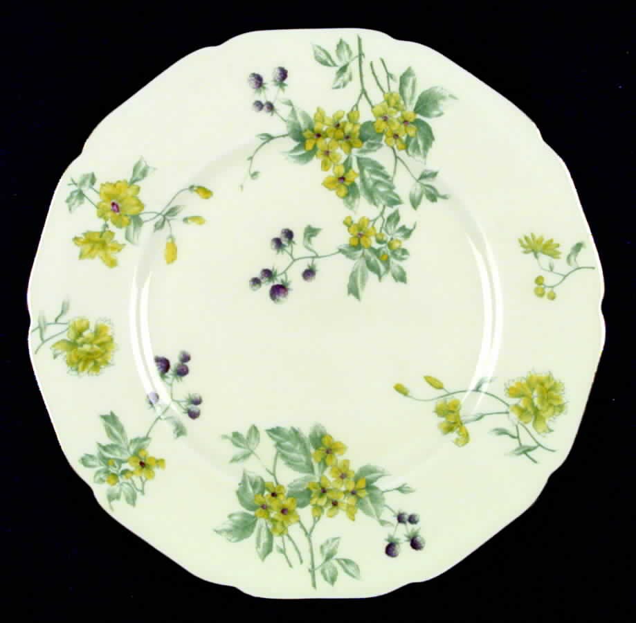 Catawba Dinner Plate by Black Knight-1