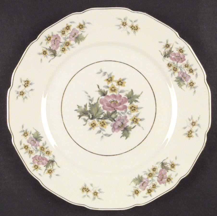 Delmonte Dinner Plate by Black Knight-1