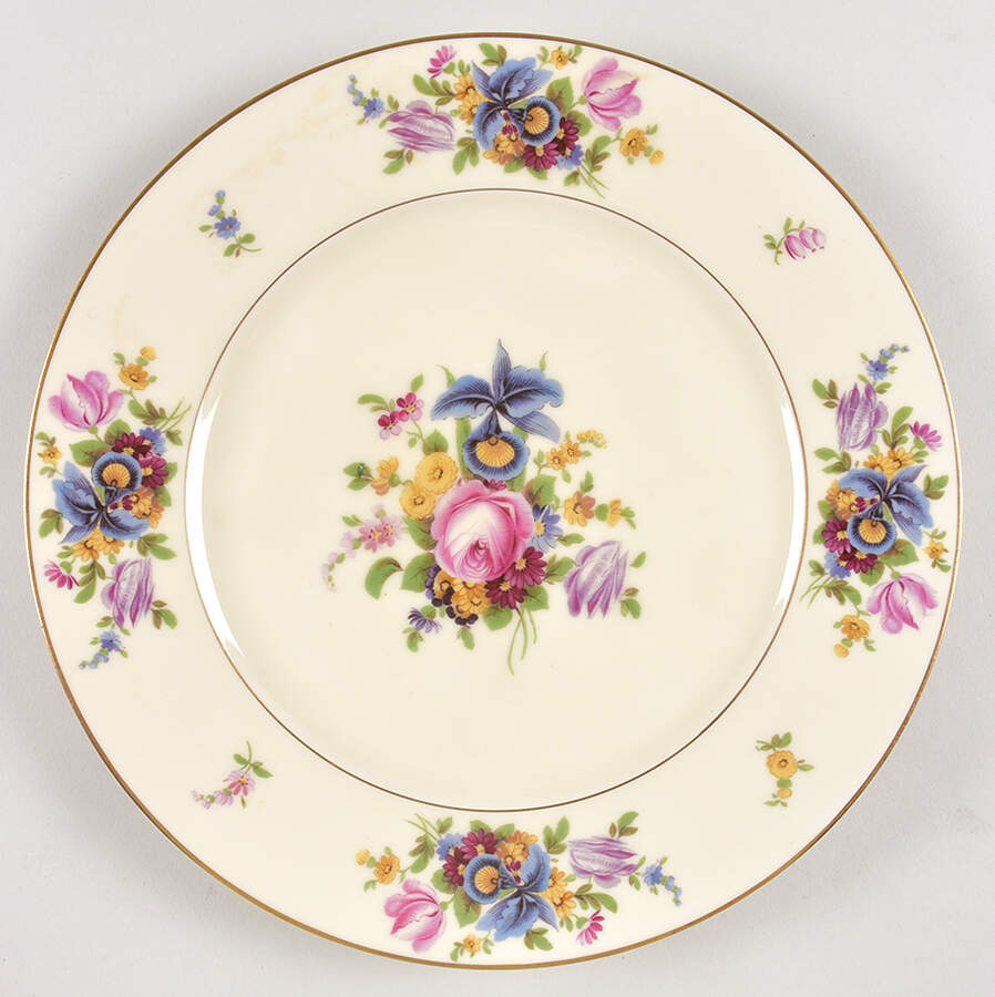 Meissen Dinner Plate by Black Knight-1