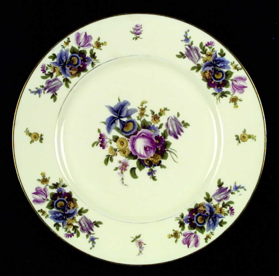 Meissen Dinner Plate by Black Knight-1
