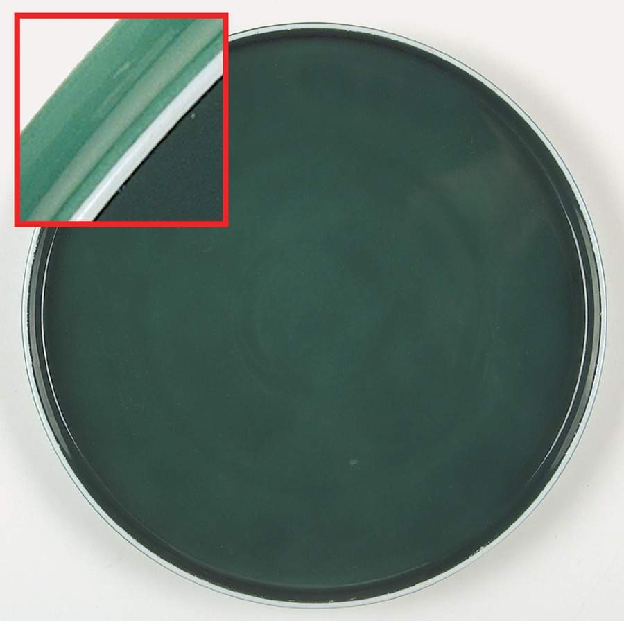 Chromatics Blue Green Dinner Plate by Block-1