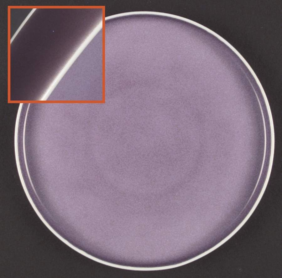 Chromatics Red Lavender Salad Plate by Block-1