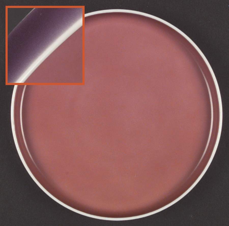 Chromatics Red Lavender Salad Plate by Block-1