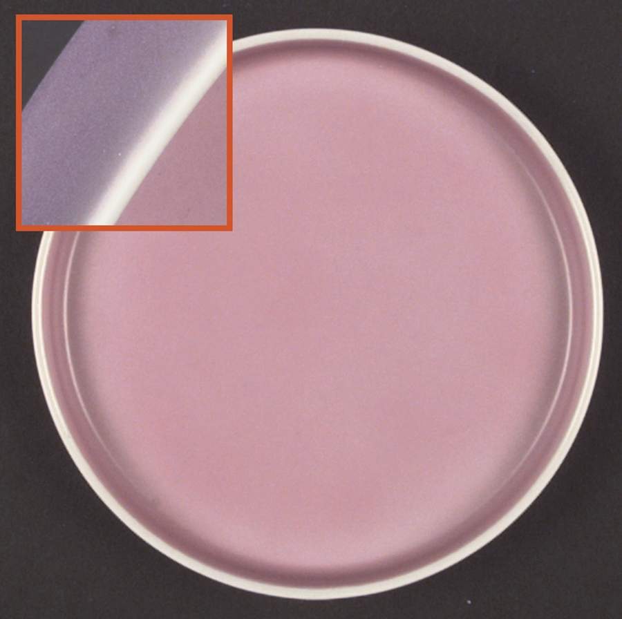 Chromatics Red Lavender Bread & Butter Plate by Block-1