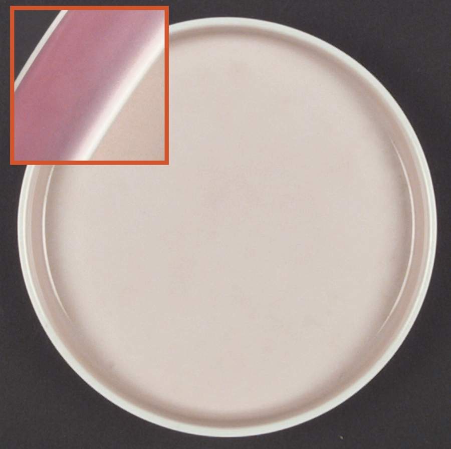 Chromatics Red Lavender Bread & Butter Plate by Block-1