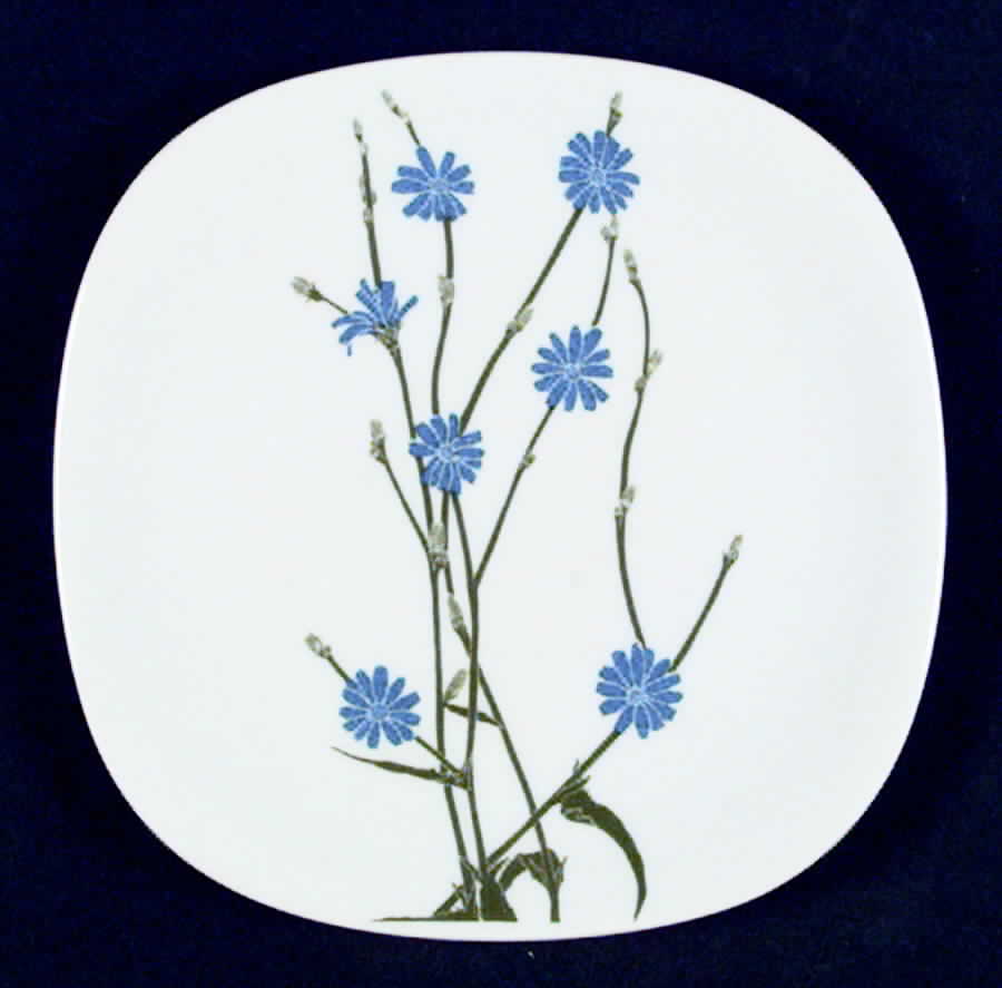 Floral Portraits Bread & Butter Plate by Block-1