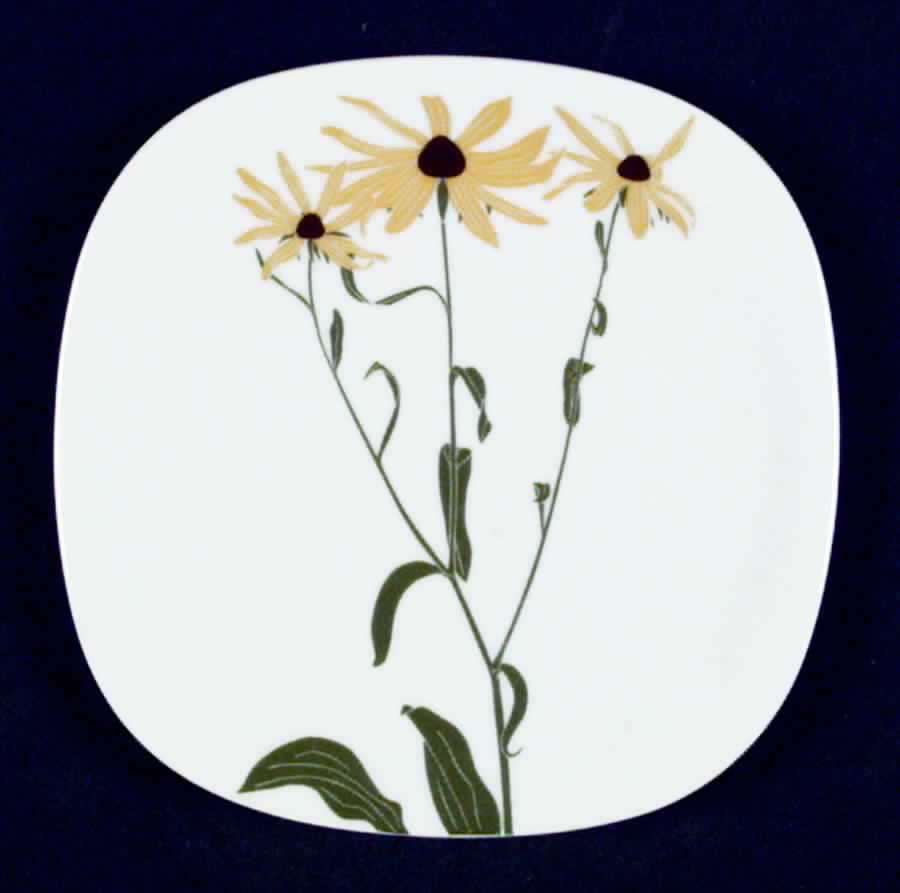 Floral Portraits Bread & Butter Plate by Block-1