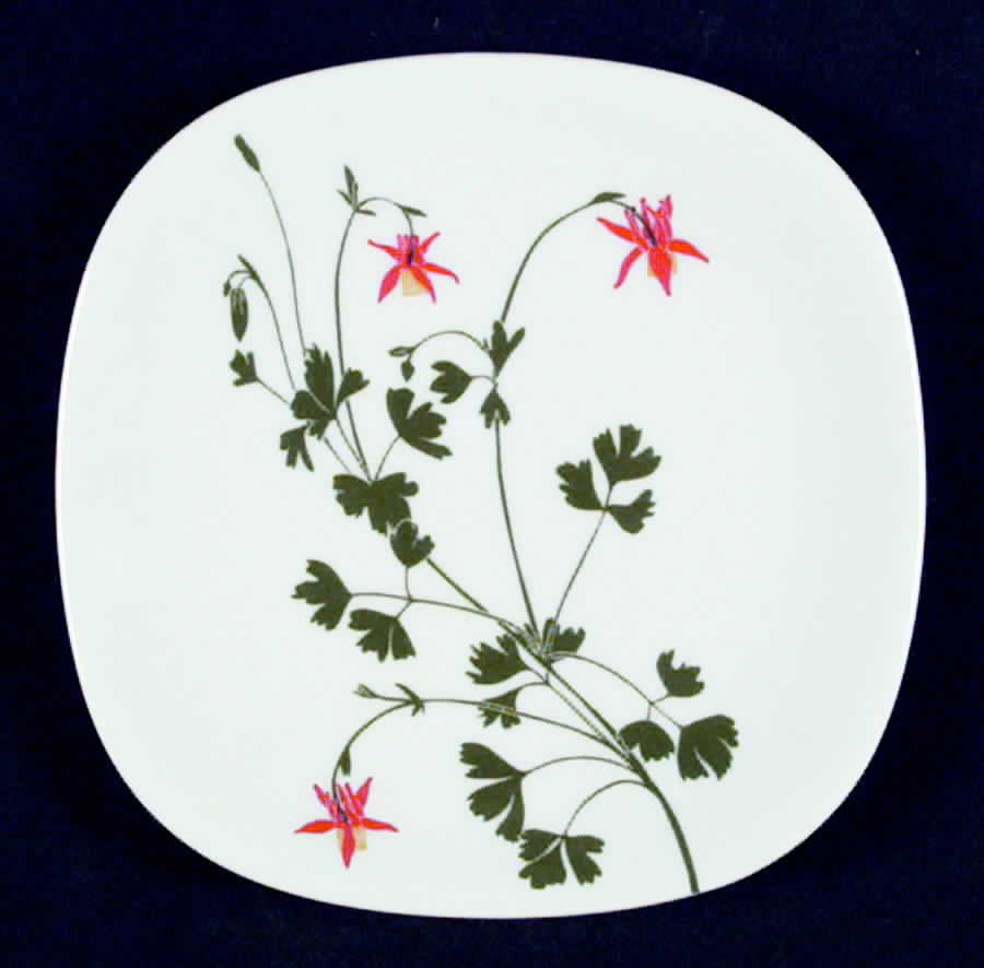Floral Portraits Bread & Butter Plate by Block-1