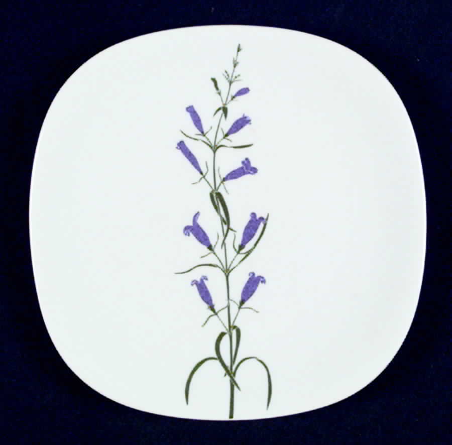 Floral Portraits Bread & Butter Plate by Block-1