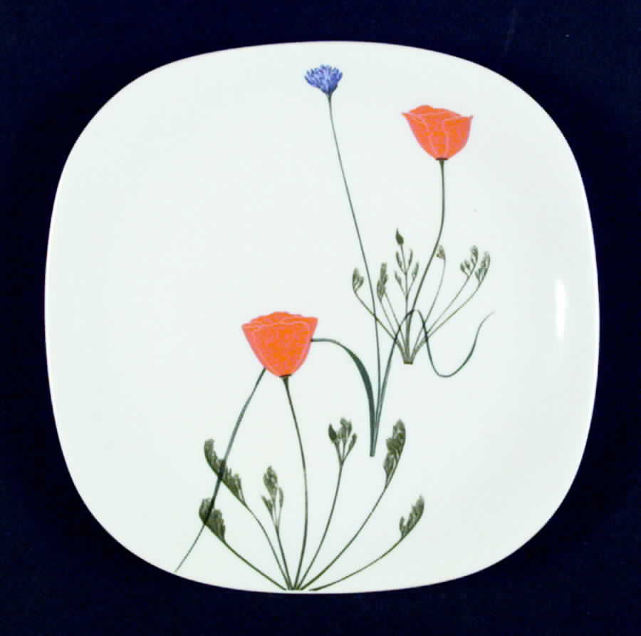 Floral Portraits Salad Plate by Block-1