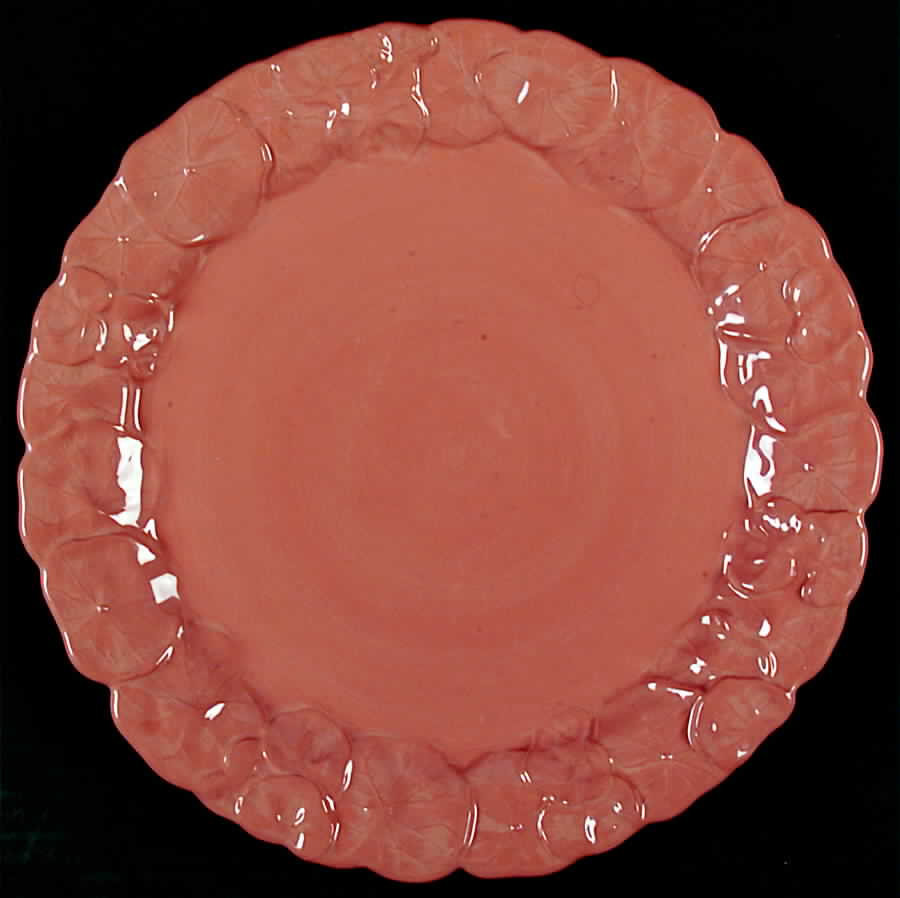 Nasturtium Terra Cotta Dinner Plate by Block-1