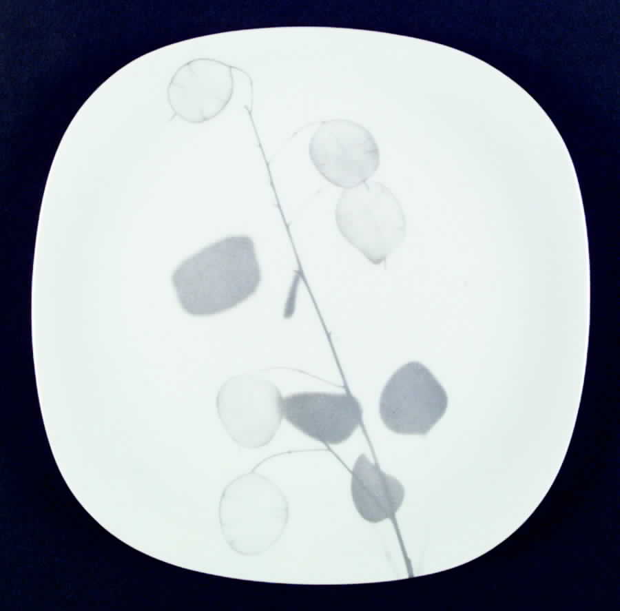 Shadows Dinner Plate by Block-1