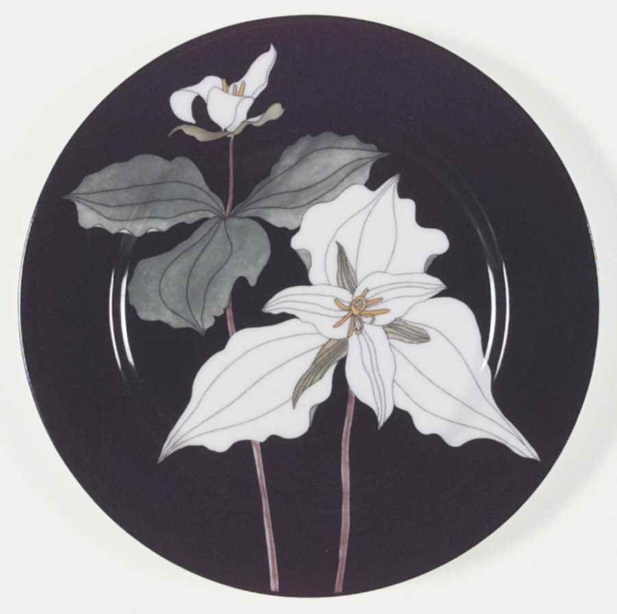 Wildflowers (Mary Lou Goertzen) Salad Plate by Block-1
