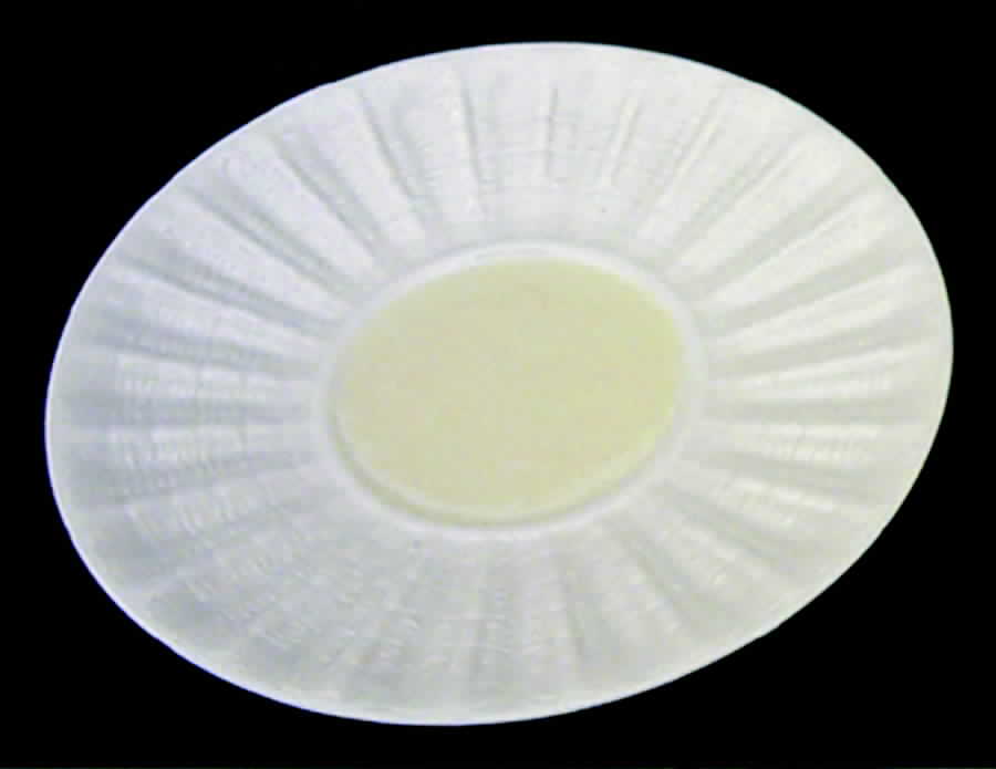 Neptune Yellow Saucer by Belleek Pottery (Ireland)-1
