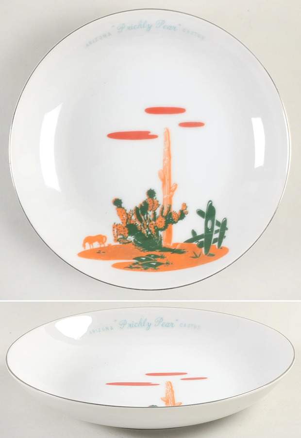Arizona Cactus Coupe Soup Bowl by Blakely-1
