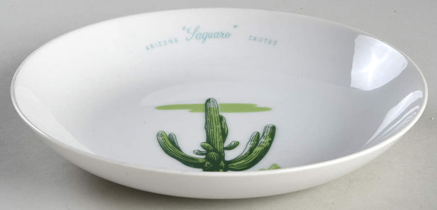 Arizona Cactus Coupe Soup Bowl by Blakely-1