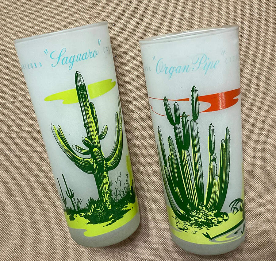 Arizona Cactus 14 Oz Glassware Tumbler by Blakely-1
