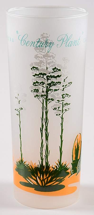 Arizona Cactus 14 Oz Glassware Tumbler by Blakely-1