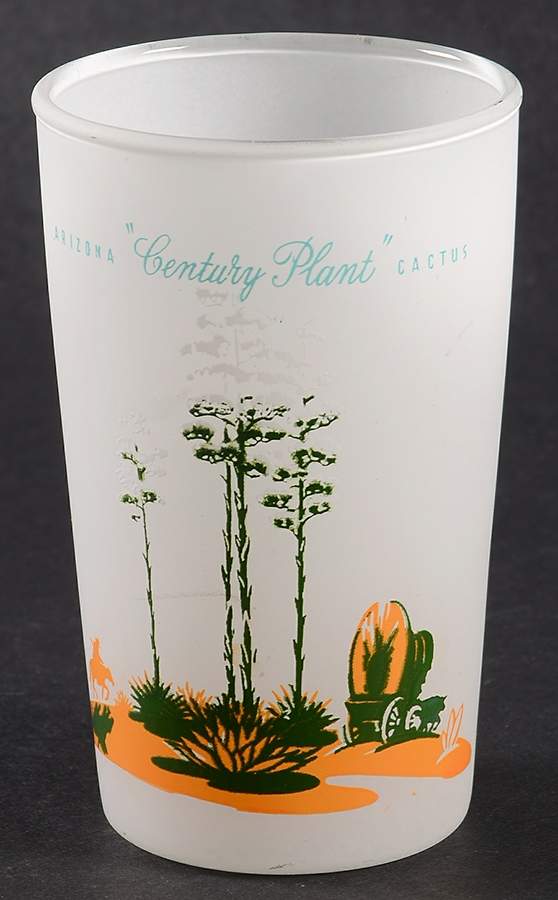 Arizona Cactus 6 Oz Glassware Juice by Blakely-1
