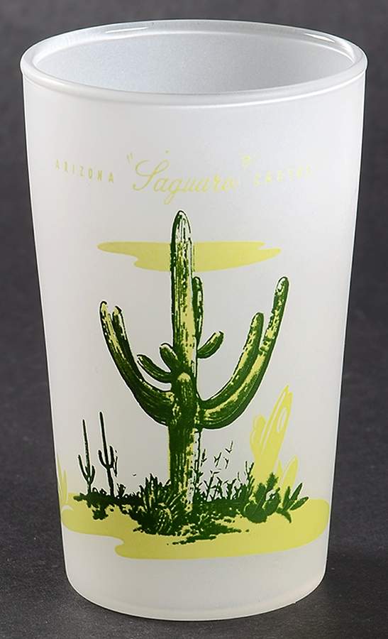 Arizona Cactus 6 Oz Glassware Juice by Blakely-1