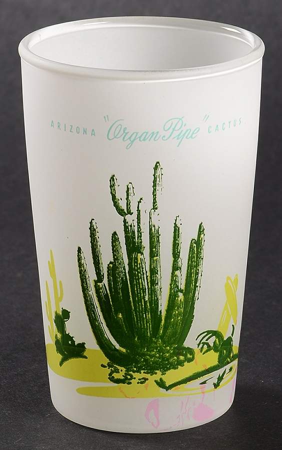 Arizona Cactus 6 Oz Glassware Juice by Blakely-1