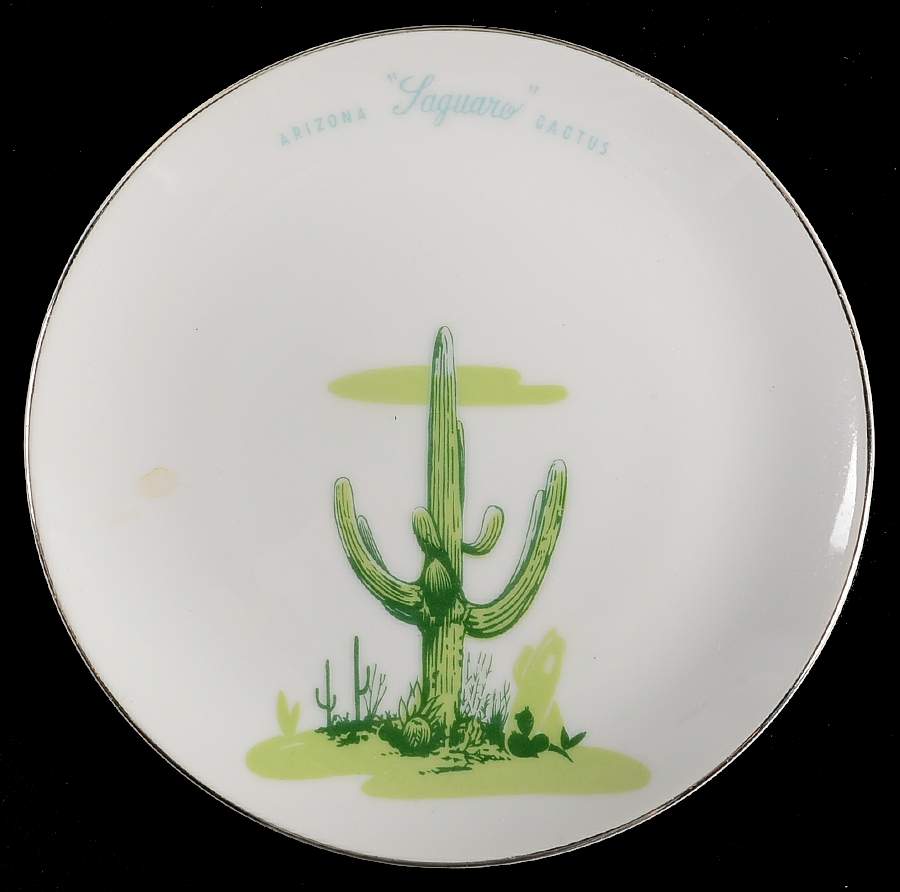 Arizona Cactus Bread & Butter Plate by Blakely-1