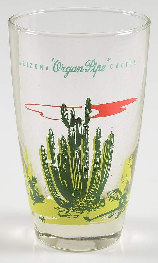 Arizona Cactus 12 Oz Glassware Tumbler by Blakely-1