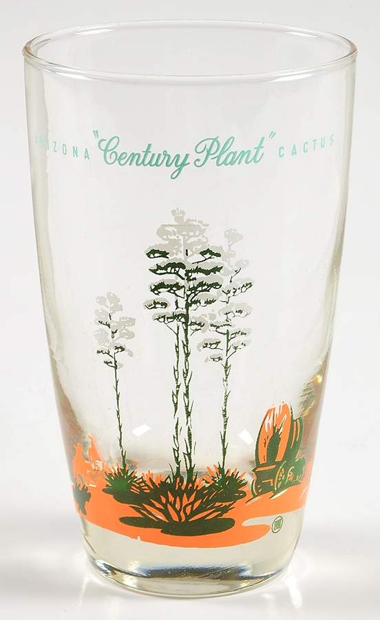 Arizona Cactus 12 Oz Glassware Tumbler by Blakely-1