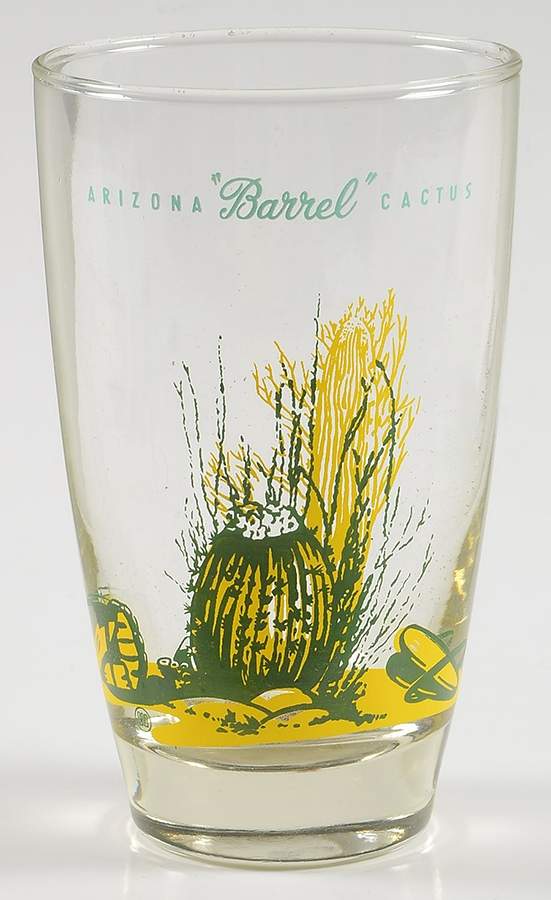 Arizona Cactus 12 Oz Glassware Tumbler by Blakely-1