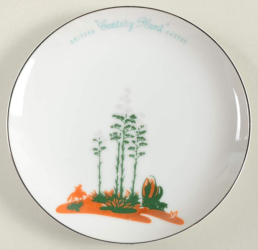Arizona Cactus Bread & Butter Plate by Blakely-1