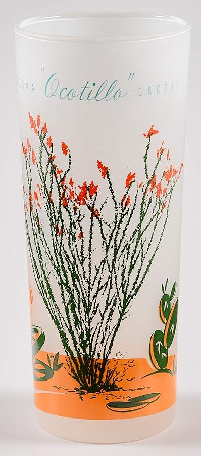 Arizona Cactus 14 Oz Glassware Tumbler by Blakely-1