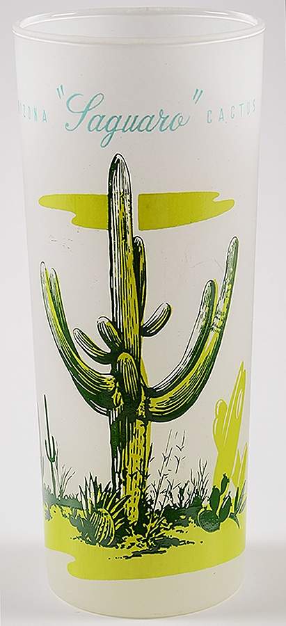Arizona Cactus 14 Oz Glassware Tumbler by Blakely-1