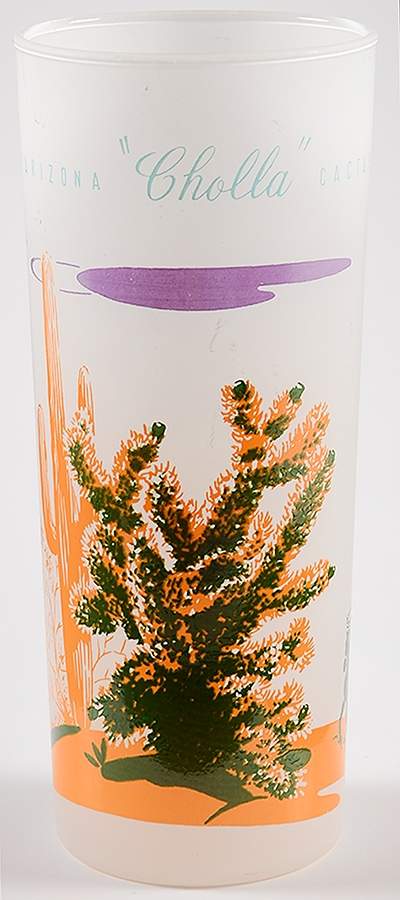 Arizona Cactus 14 Oz Glassware Tumbler by Blakely-1