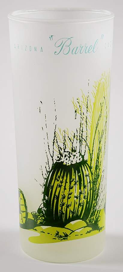 Arizona Cactus 14 Oz Glassware Tumbler by Blakely-1