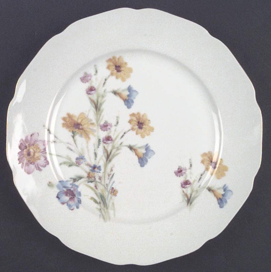 BOH24 Dinner Plate by Bohemia Ceramic Works-1
