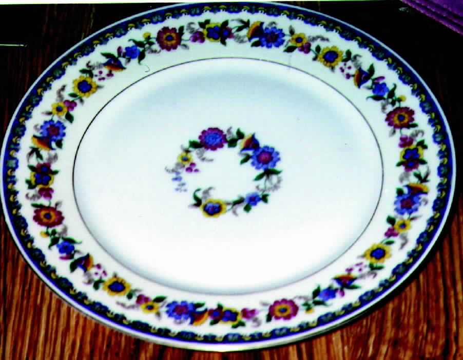 BOH33 Dinner Plate by Bohemia Ceramic Works-1
