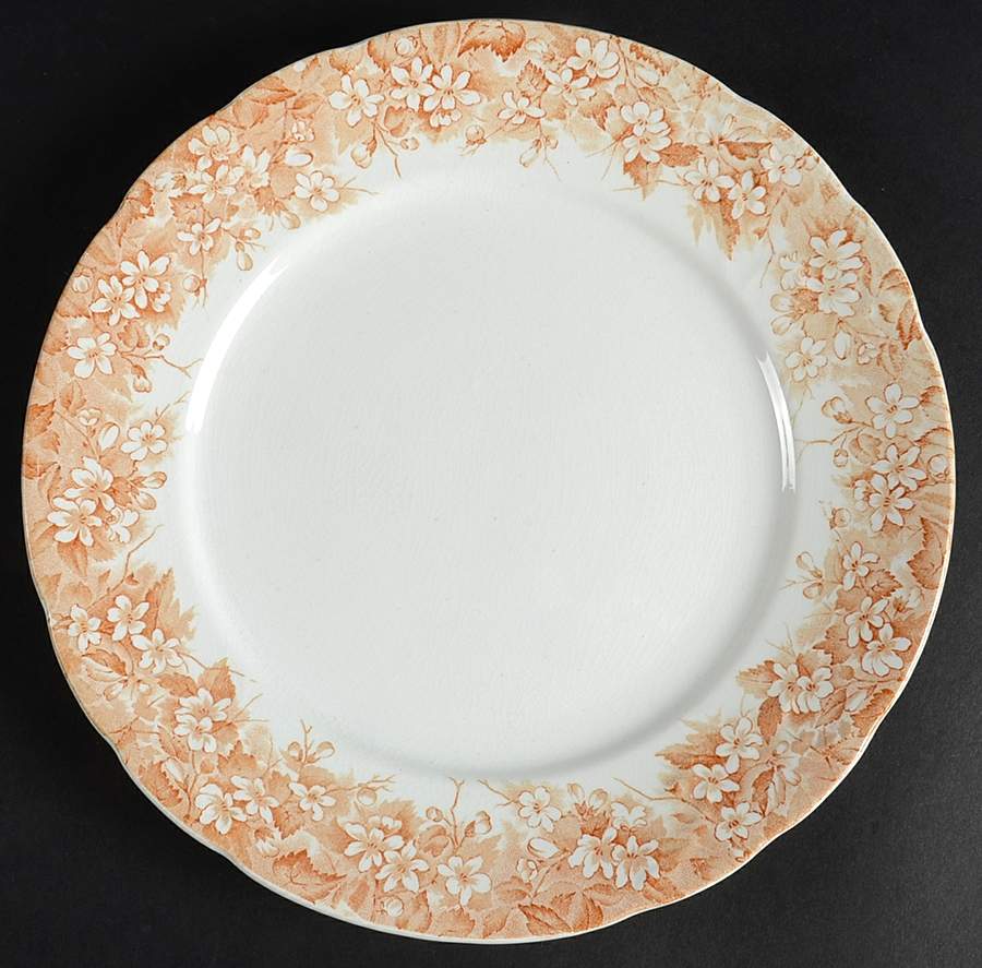 Mayflower (Brown) Dinner Plate by Bourne & Leigh-1