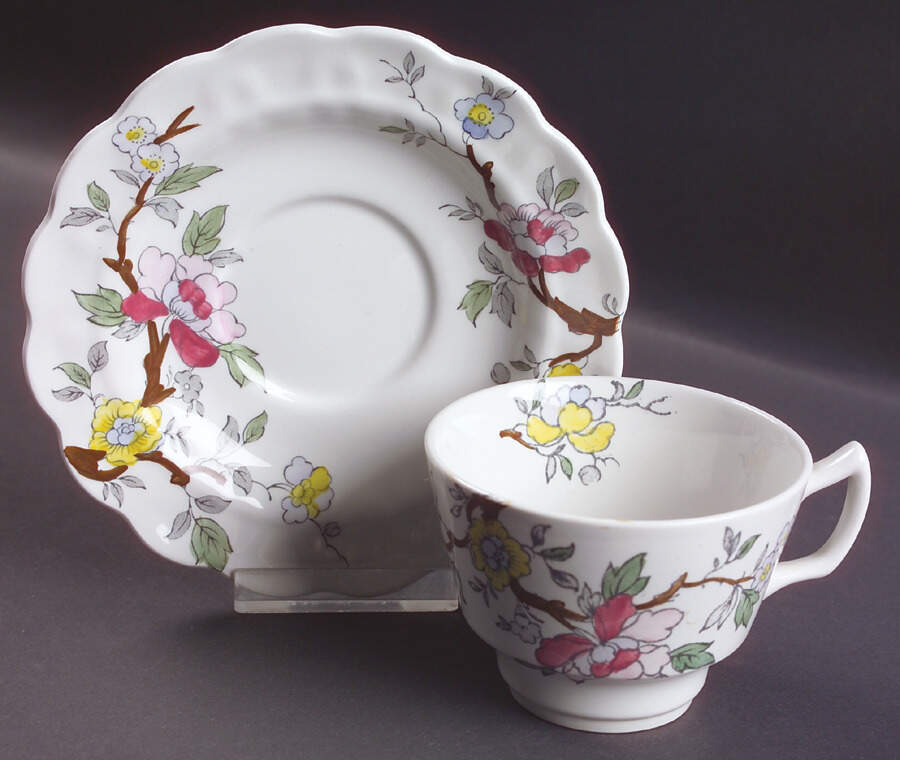 Chinese Tree Flat Cup & Saucer Set by Booths-1
