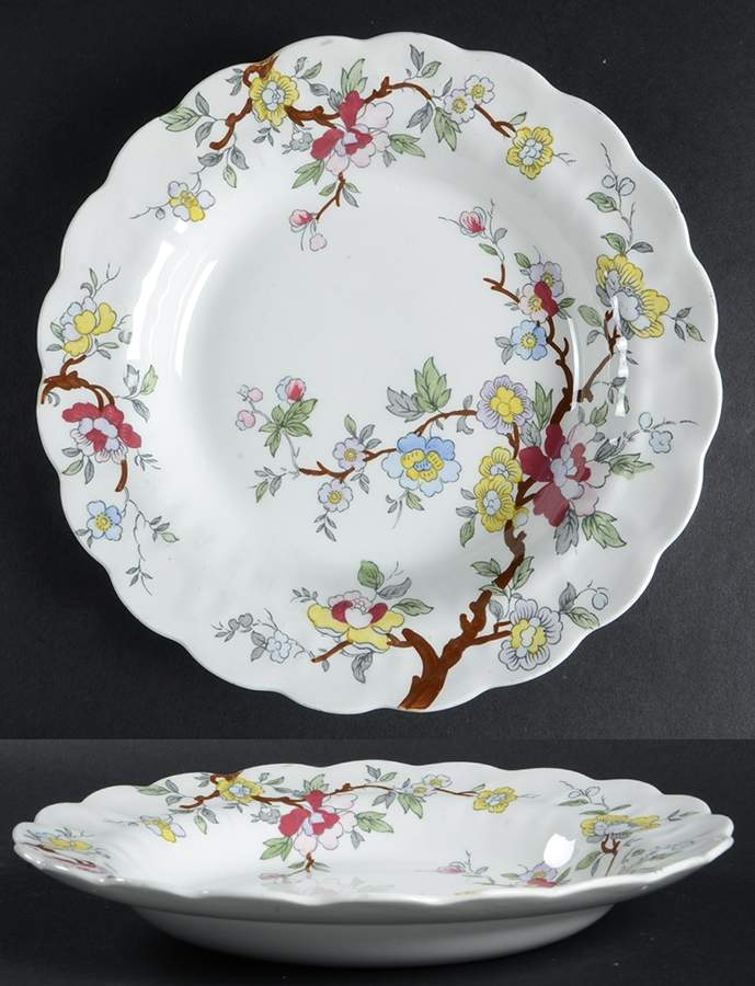 Chinese Tree Large Rim Soup Bowl by Booths-1