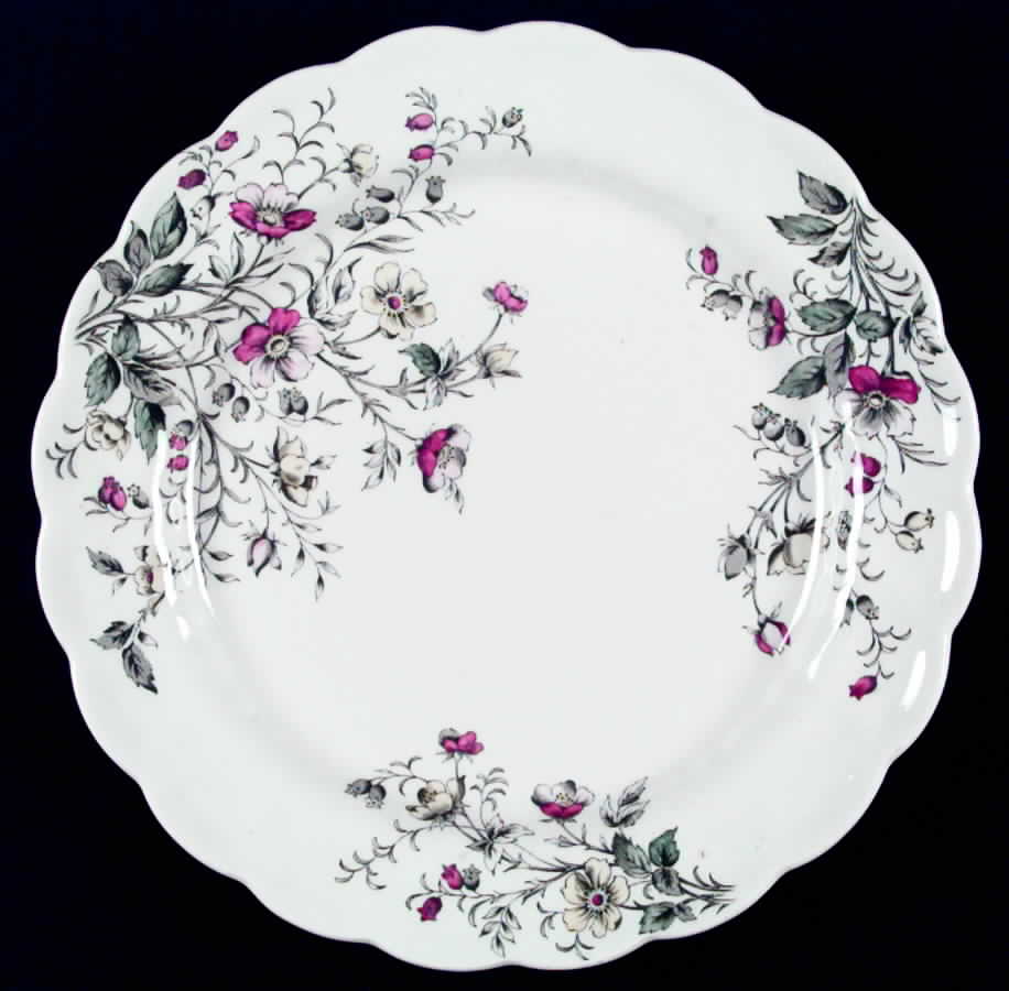 Rock Rose Dinner Plate by Booths-1