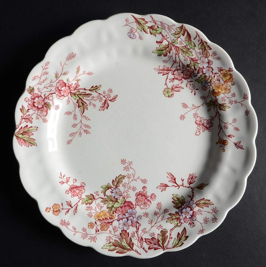 Washington (Multicolor, Scalloped) Dinner Plate by Booths-1
