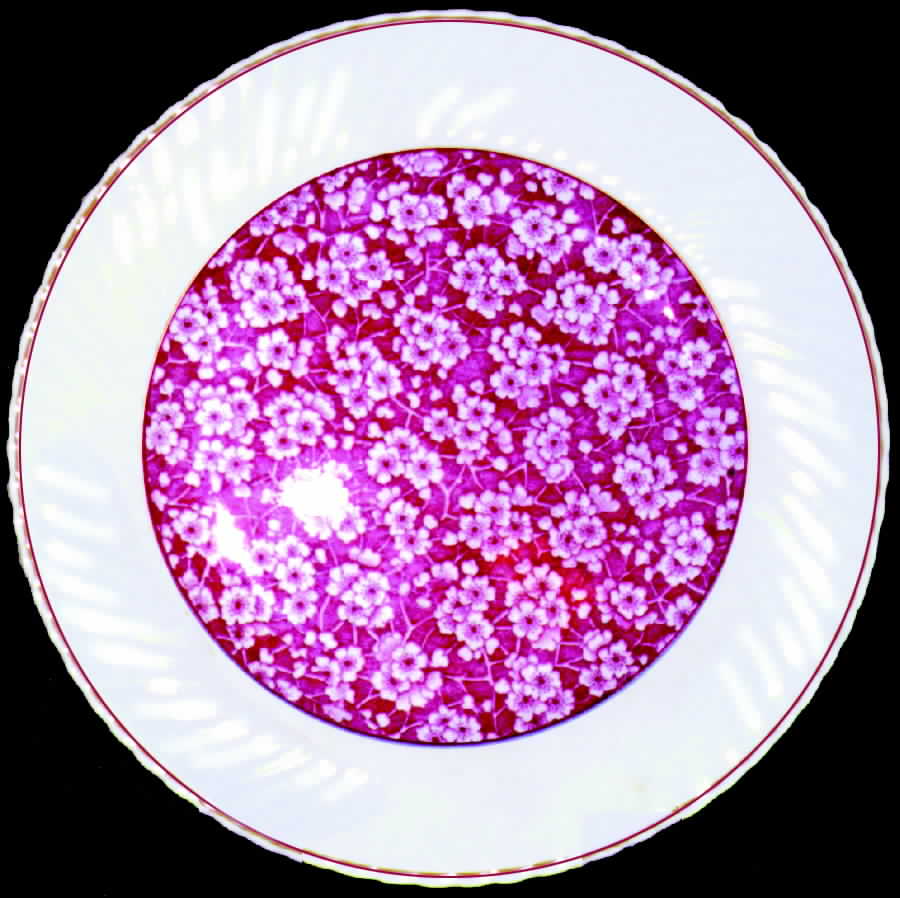 May Blossom Pink Dinner Plate by British Anchor-1