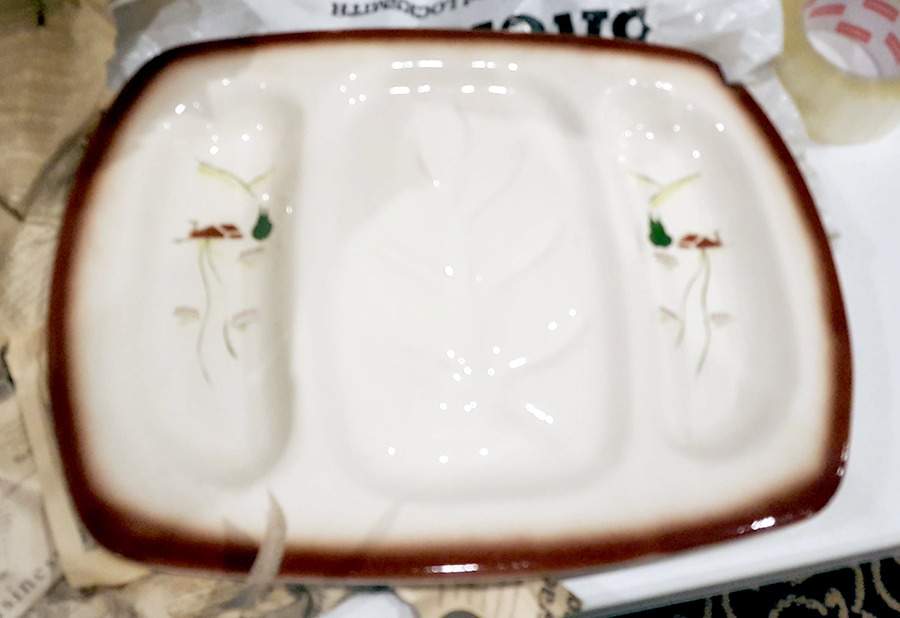 Harvest (Brown Trim) 17" Rectangular Serving Platter by Brock-1