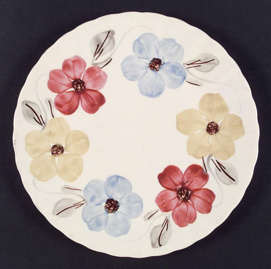 Annadel Dinner Plate by Blue Ridge Southern Pottery-1