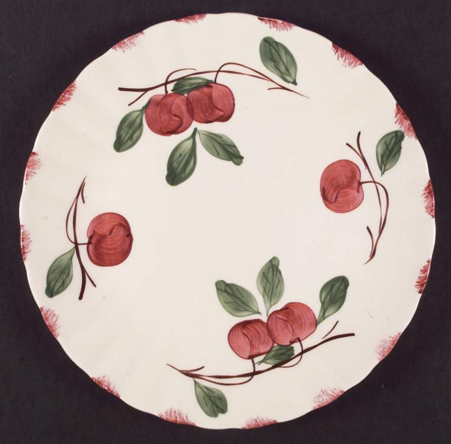 Autumn Apple Dinner Plate by Blue Ridge Southern Pottery-1