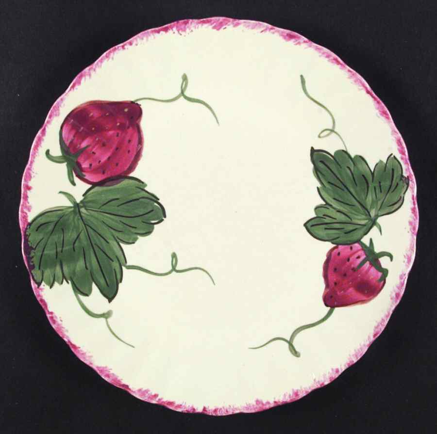 Berryville Dinner Plate by Blue Ridge Southern Pottery-1