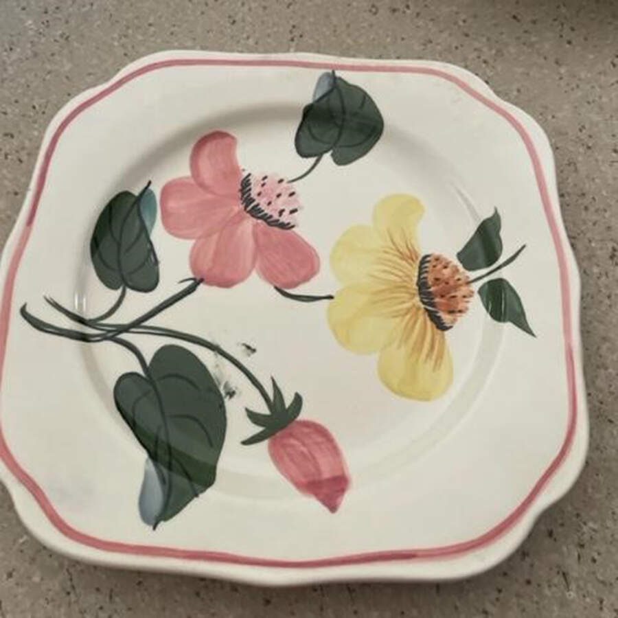 Bouquet Square Salad Plate by Blue Ridge Southern Pottery-1