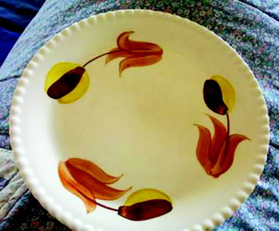 Brownie Dinner Plate by Blue Ridge Southern Pottery-1