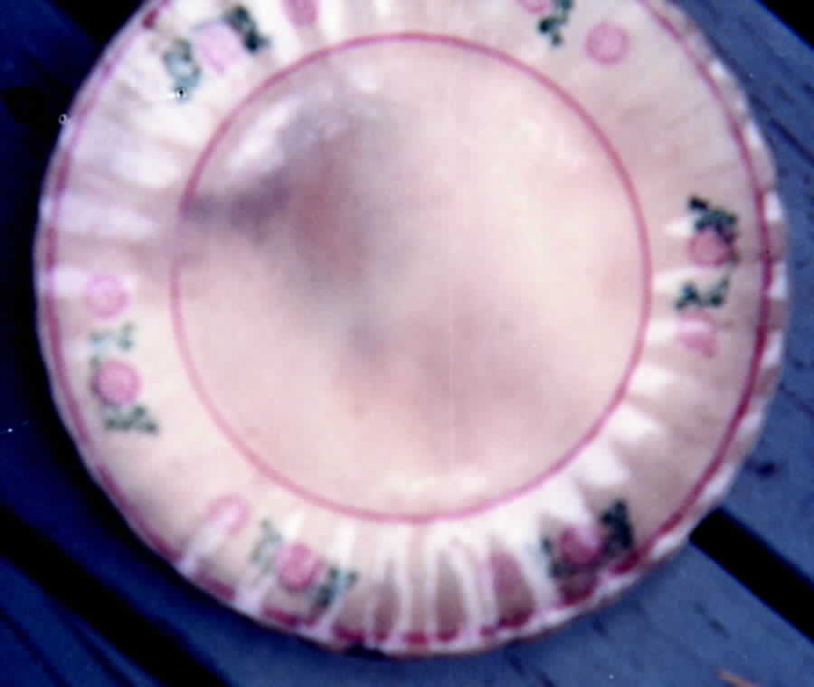 BRP13 Dinner Plate by Blue Ridge Southern Pottery-1